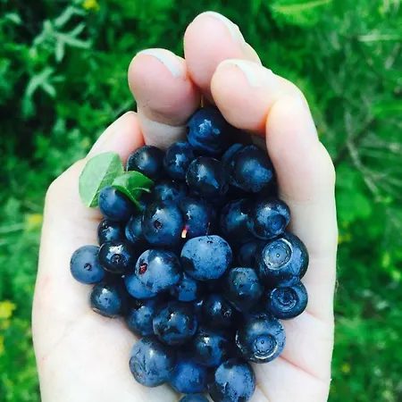 Pure Hinterthal Appartamento