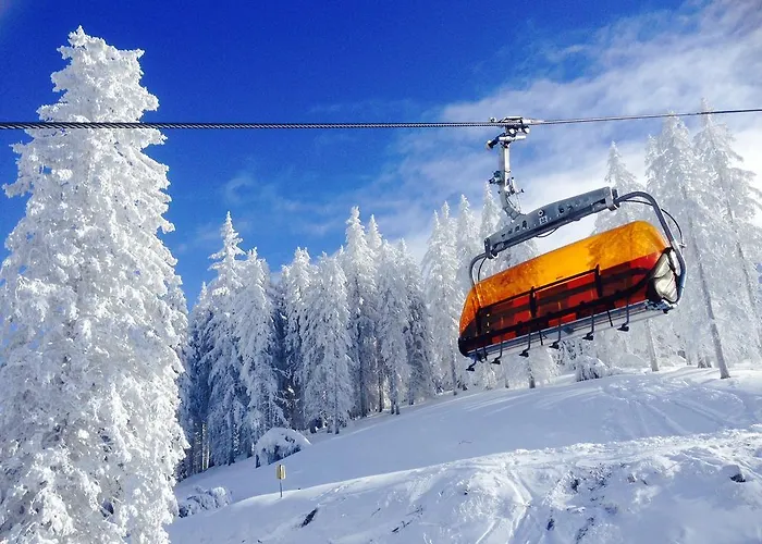 Daire Pure Hinterthal *