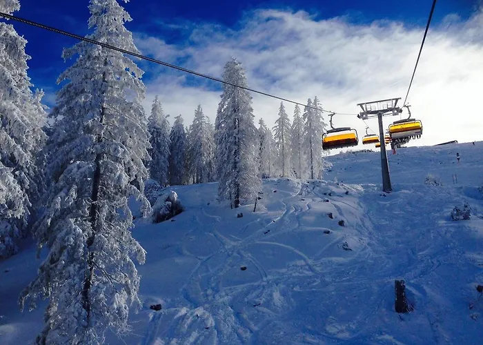 Pure Hinterthal Daire *