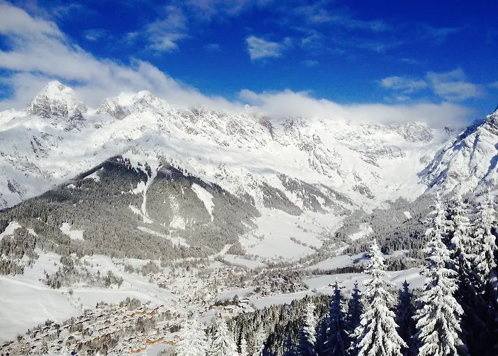 Pure Hinterthal Daire