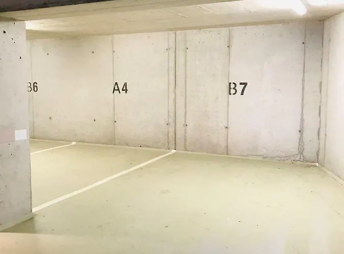 Pure Hinterthal Daire